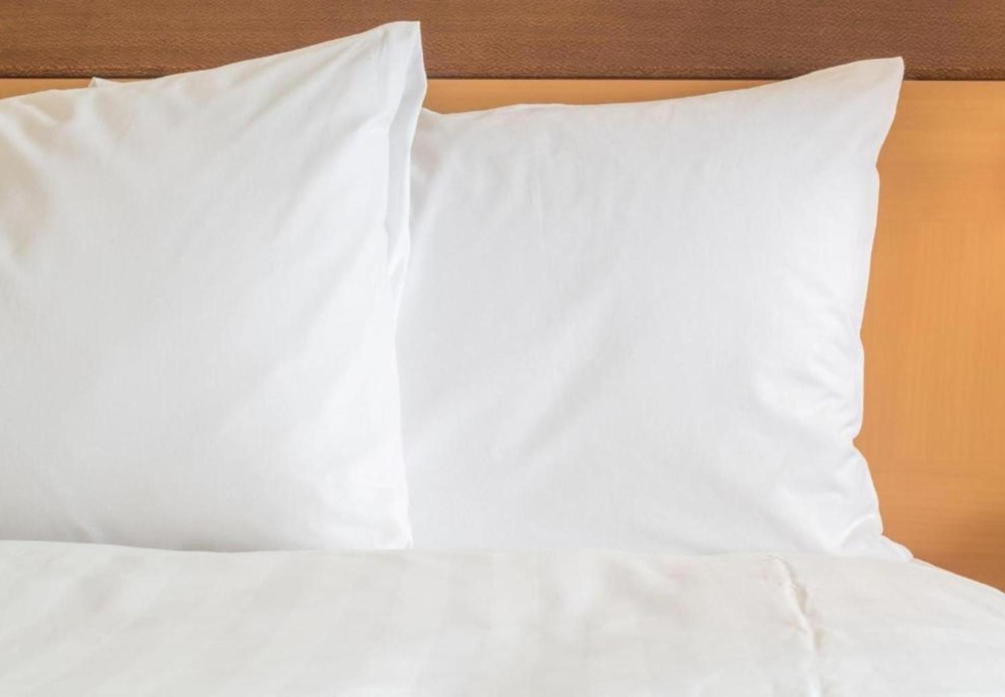 Holiday Inn Express Knoxville-Strawberry Plains By Ihg Luaran gambar